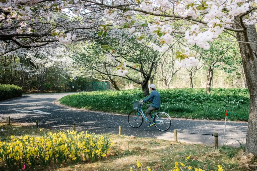 С приходом тепла заметно снижается интерес к закрытым пространствам, особенно в сегменте массового досуга. 
